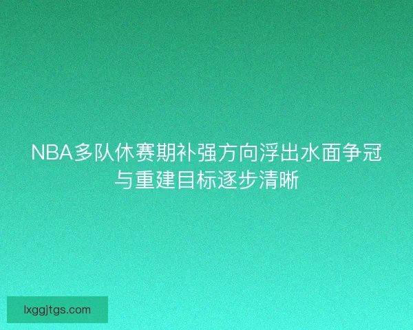 NBA多队休赛期补强方向浮出水面争冠与重建目标逐步清晰