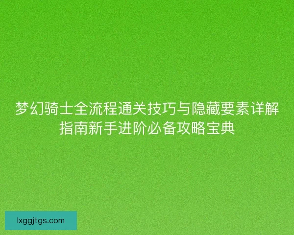 梦幻骑士全流程通关技巧与隐藏要素详解指南新手进阶必备攻略宝典